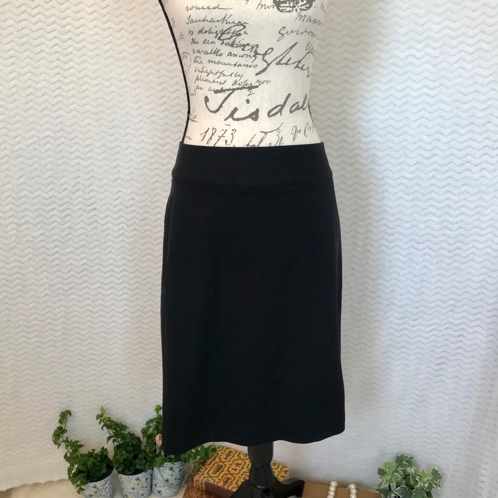 Banana Republic Pencil Skirt size 6